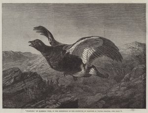 Uppskräckt av Harrison William Weir